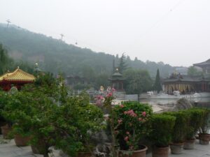 P1000774